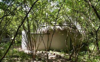 Bakwena Lodge Kasane Eksteriør billede